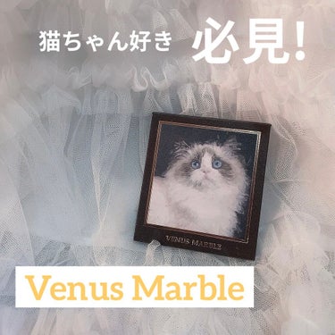 Venus Marble アイシャドウキャットシリーズ/Venus Marble/パウダーアイシャドウを使ったクチコミ（1枚目）