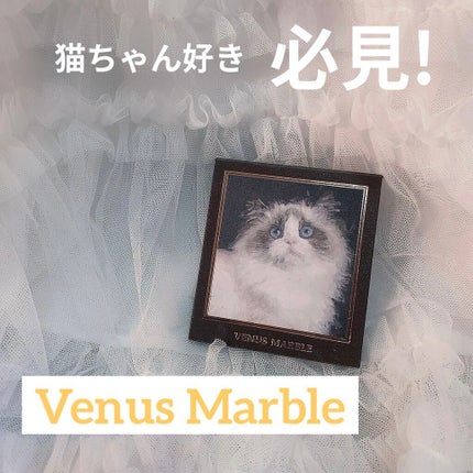 Venus Marble アイシャドウキャットシリーズ/Venus Marble/アイシャドウパレットを使ったクチコミ(1枚目)