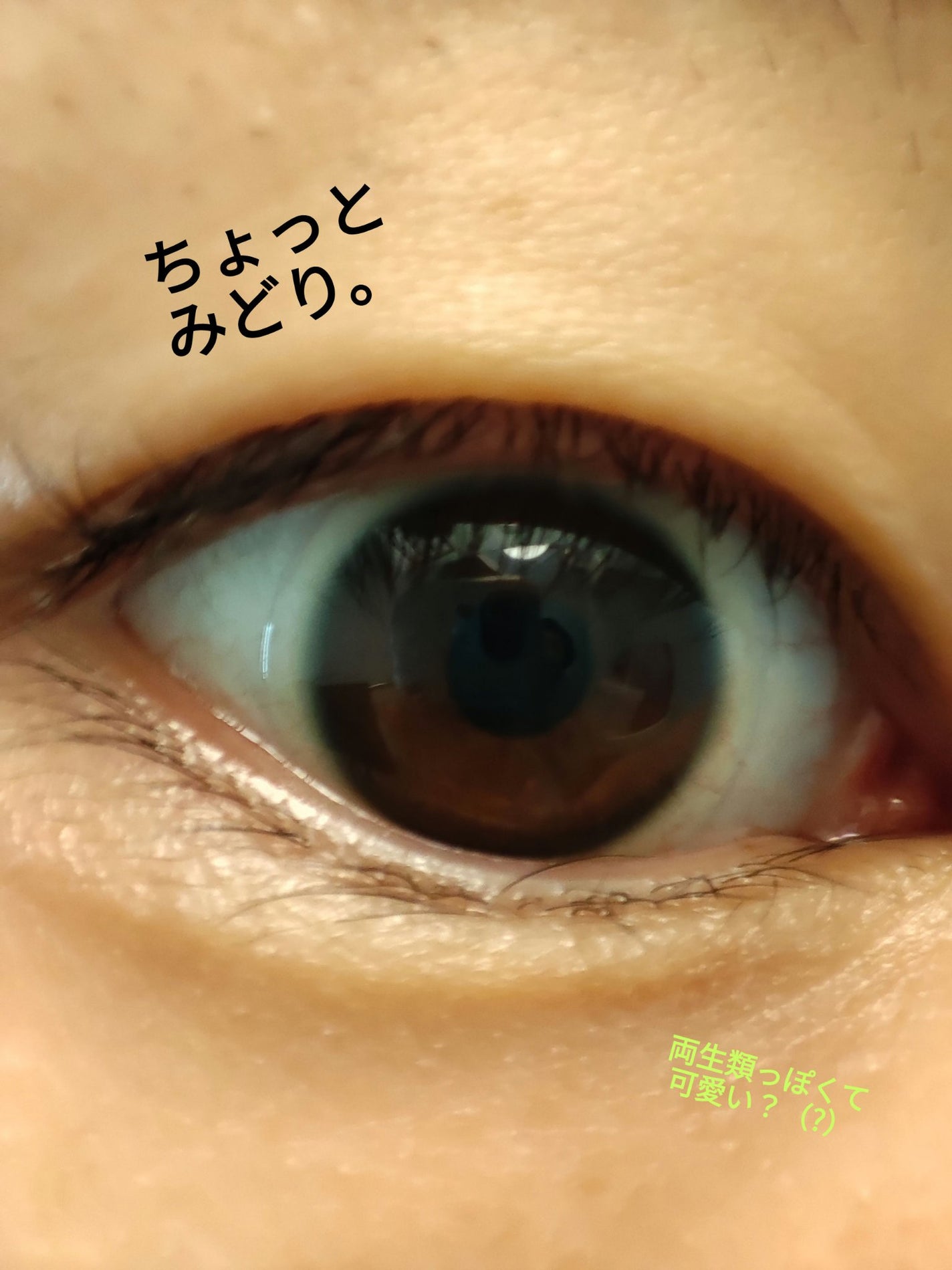 LENSLiST 1day/LENS LiST/ワンデー(1DAY)カラコンを使ったクチコミ(2枚目)