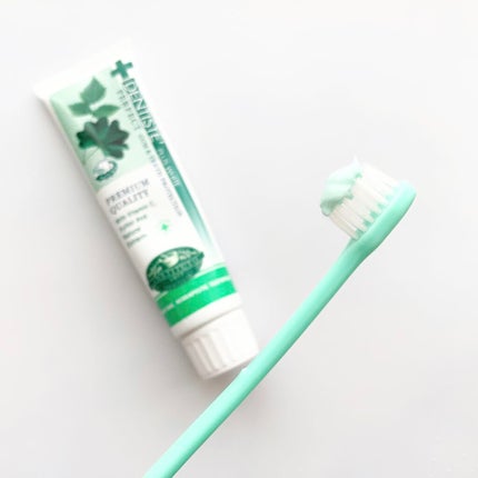 デンティス チューブタイプ/デンティス/歯磨き粉を使ったクチコミ(1枚目)