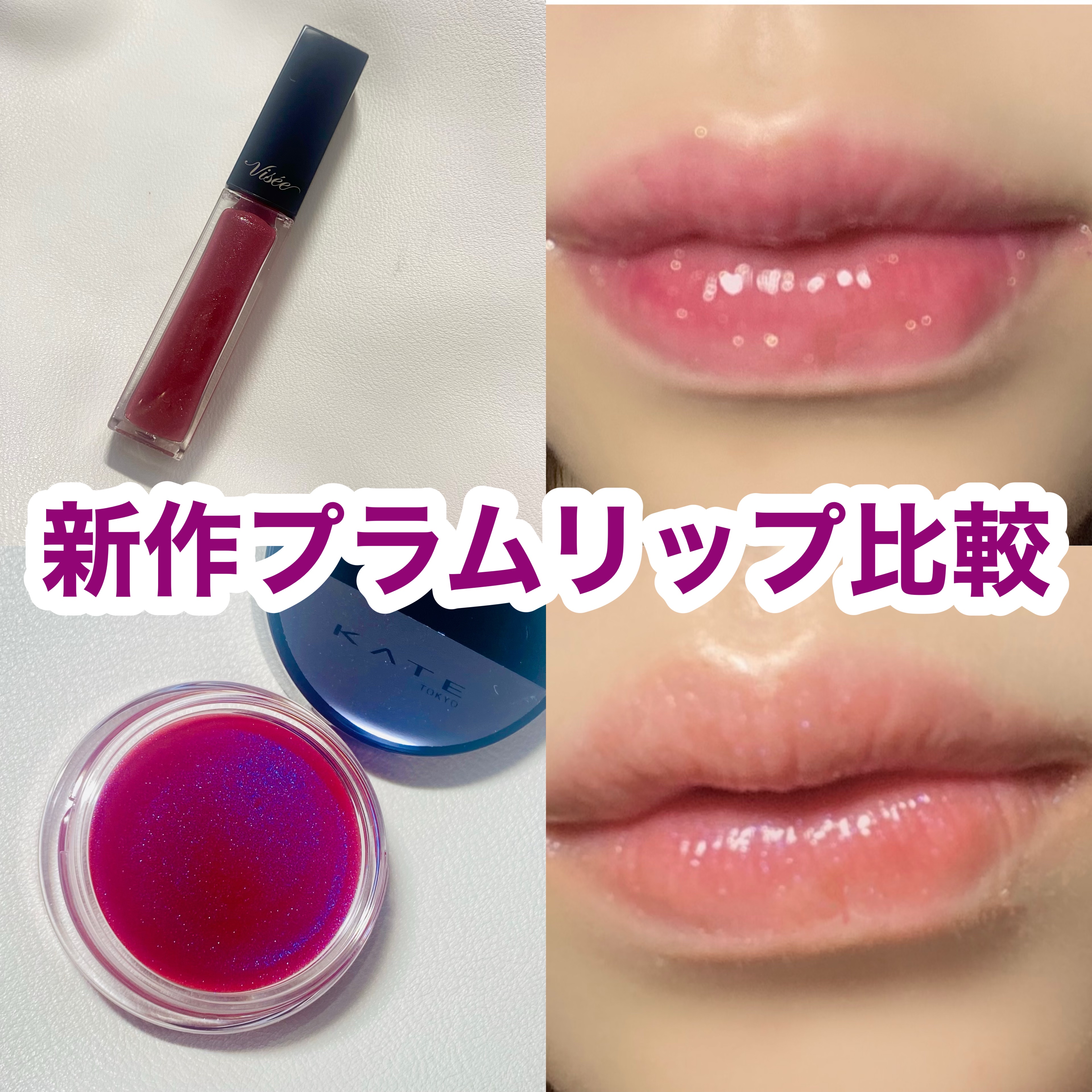 Visée・KATEの口紅・グロス・リップライナー・リップケアを使っ