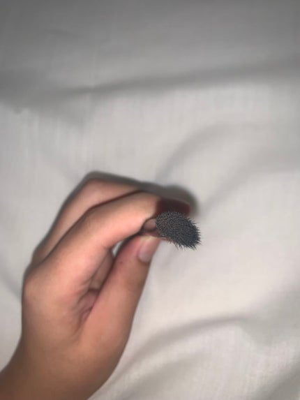 UR GLAM SHADING BRUSH/U R GLAM/メイクブラシを使ったクチコミ(3枚目)