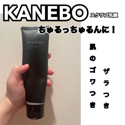 スクラビング マッド ウォッシュ/KANEBO/洗顔フォームを使ったクチコミ(1枚目)