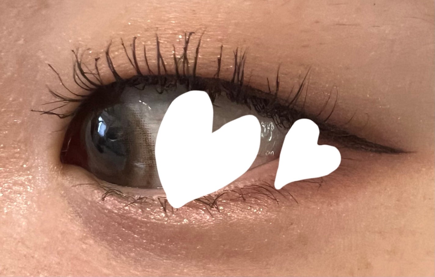 ハイパーリフトマスカラ/D-UP/マスカラを使ったクチコミ(2枚目)