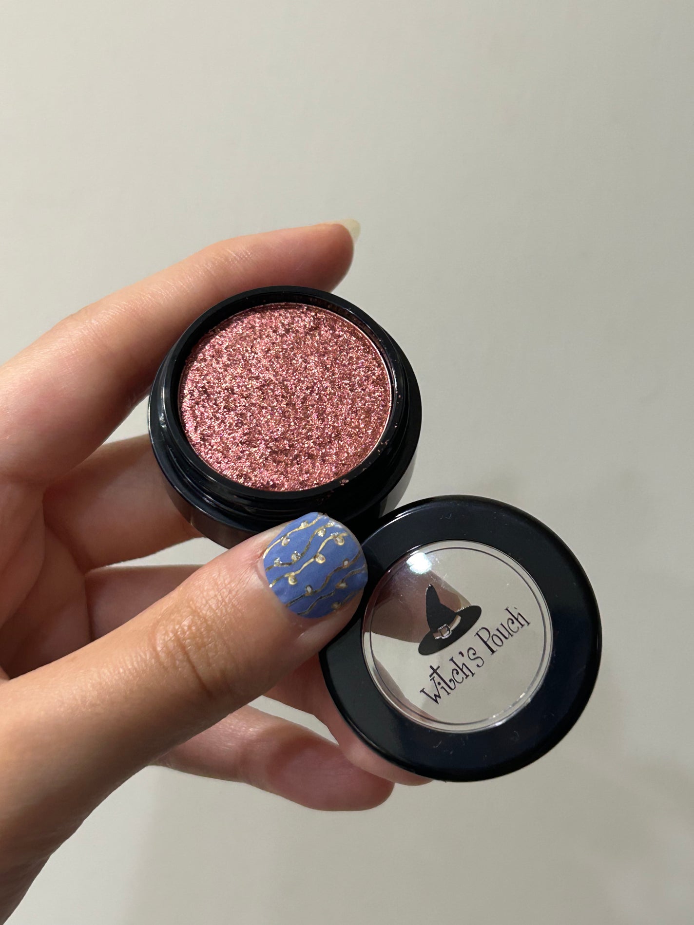 セルフィーフィックスピグメント/Witch's Pouch/単色アイシャドウを使ったクチコミ(3枚目)