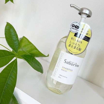 ハヤラクシャンプー モイスト/トリートメント モイスト/サボリーノ/市販シャンプーを使ったクチコミ(2枚目)