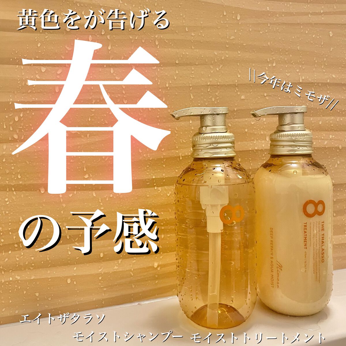 モイストシャンプー&モイストトリートメント ミニプレシャンプー付き 限定キット ミモザの香り/エイトザタラソ/その他キットセットを使ったクチコミ(1枚目)