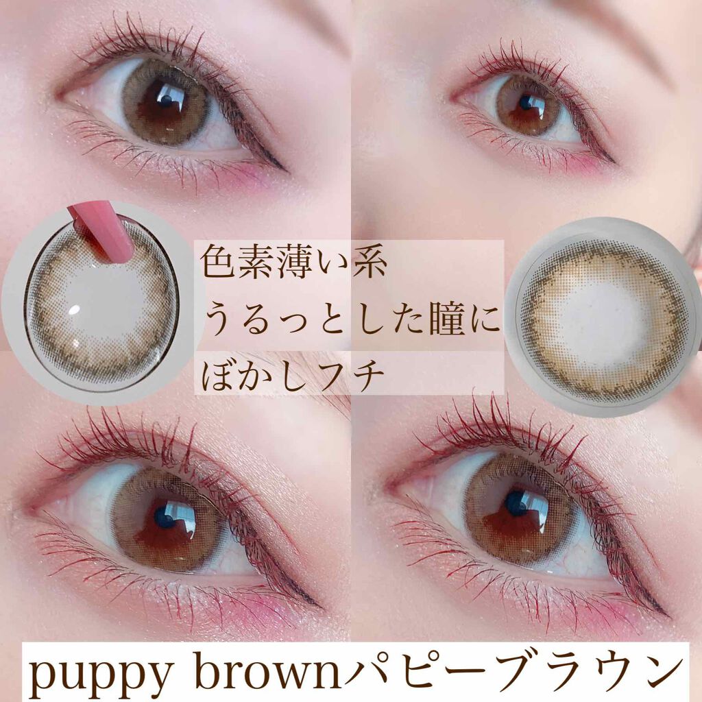 Cheritta 1day パピーブラウン(Puppy Brown)/Cheritta/ワンデー（１DAY）カラコンを使ったクチコミ（3枚目）