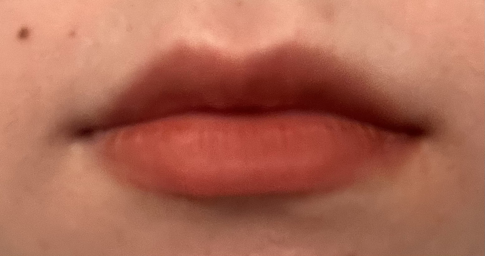 READ ME ベルベットマット リップティント赤狐限定 025 Whisper/PERFECT DIARY/リップティントを使ったクチコミ（3枚目）