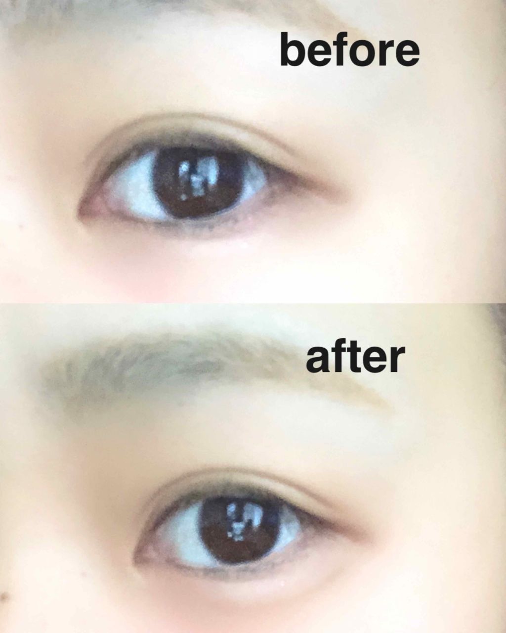 ラスティングデザインアイブロウW N(LQ）/KATE/パウダーアイブロウを使ったクチコミ（2枚目）