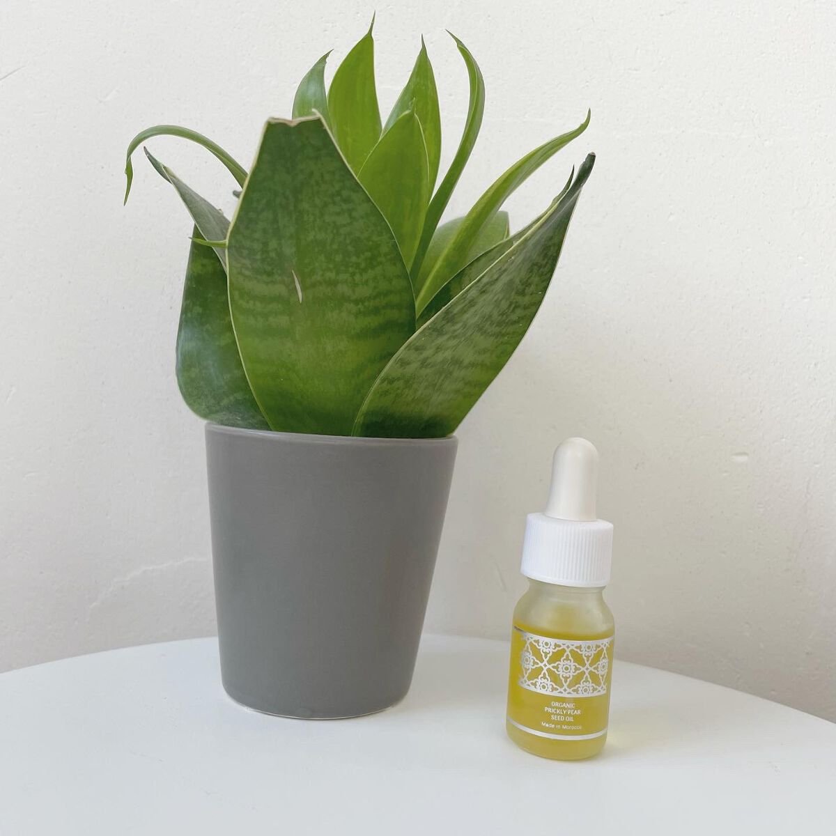 モロッコ100%オーガニック ウチワサボテンオイル/Natural Majesty/フェイスオイルを使ったクチコミ(1枚目)