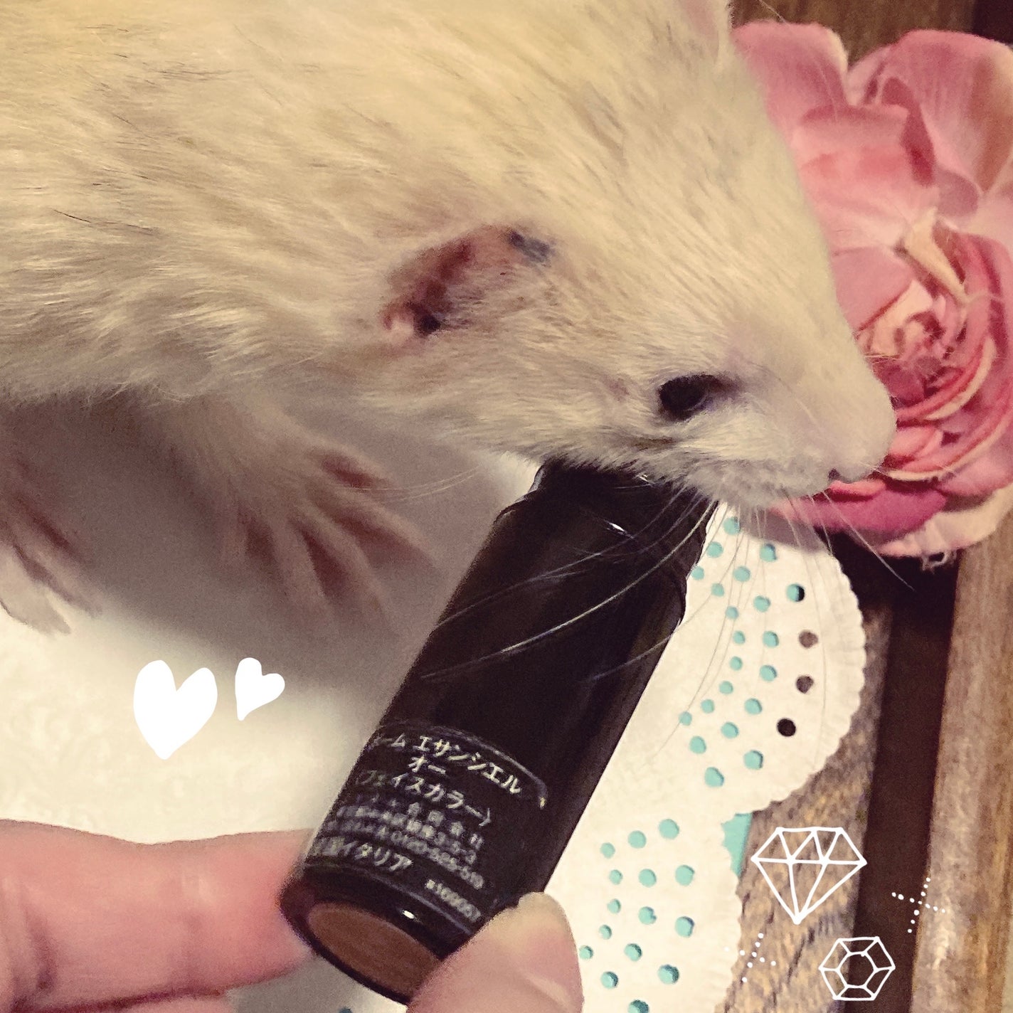 ボーム エサンシエル/CHANEL/スティックハイライトを使ったクチコミ(2枚目)