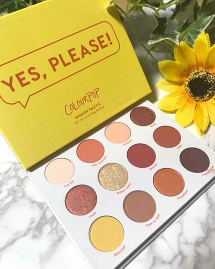 Yes,Please! Shadow Palette/ColourPop/アイシャドウパレットを使ったクチコミ(3枚目)