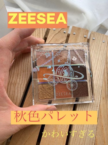 クォーツ 9色アイシャドウパレット（ドリームランドアイシャドウ）/ZEESEA/アイシャドウパレットを使ったクチコミ（1枚目）