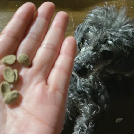 さえ on LIPS 「■GLEBO(グレボ)¥4,400---成犬用総合栄養食--..」(4枚目)