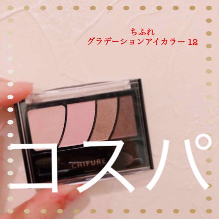 グラデーション アイ カラー(チップ付)/ちふれ/アイシャドウパレットを使ったクチコミ(1枚目)