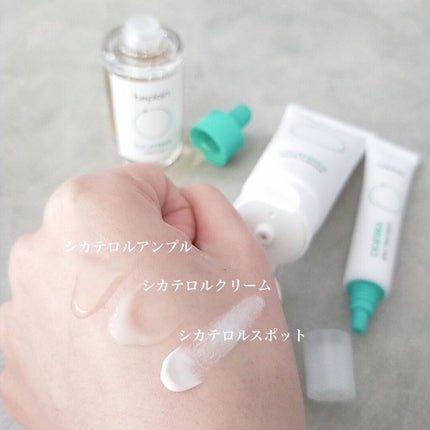 ã·ã«ããã«ã¯ãªãŒã /beplain/ãã§ã€ã¹ã¯ãªãŒã ã䜿ã£ãã¯ãã³ãïŒ2æç®ïŒ