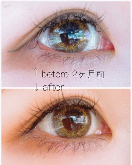 EMAKED(エマーキット)/水橋保寿堂製薬/まつげ美容液を使ったクチコミ(3枚目)