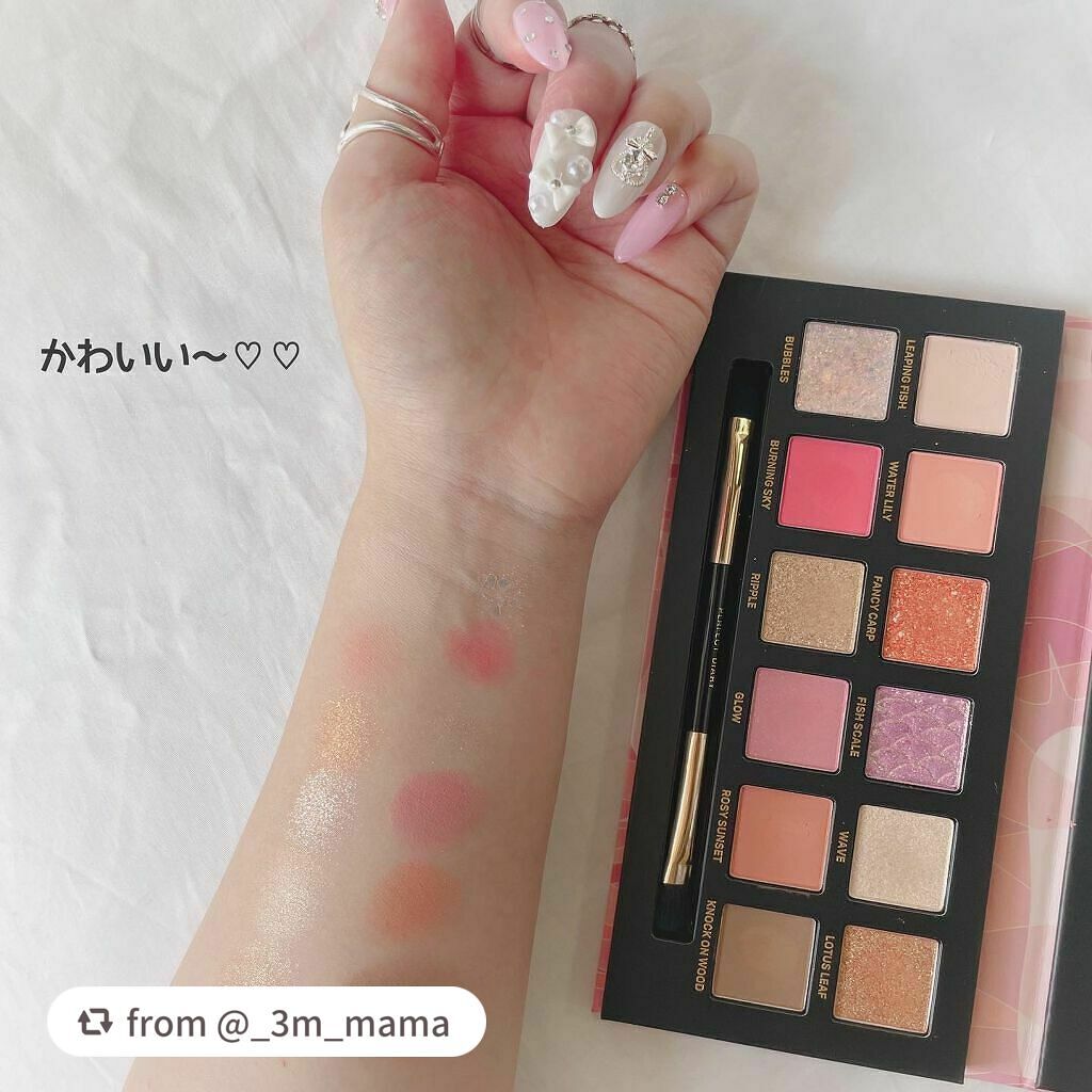 エクスプローラ12色 動物アイシャドウパレット/PERFECT DIARY/アイシャドウパレットを使ったクチコミ(5枚目)