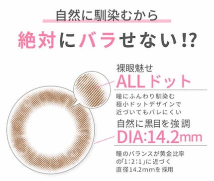 Pur Series/TeAmo/カラーコンタクトレンズを使ったクチコミ(2枚目)