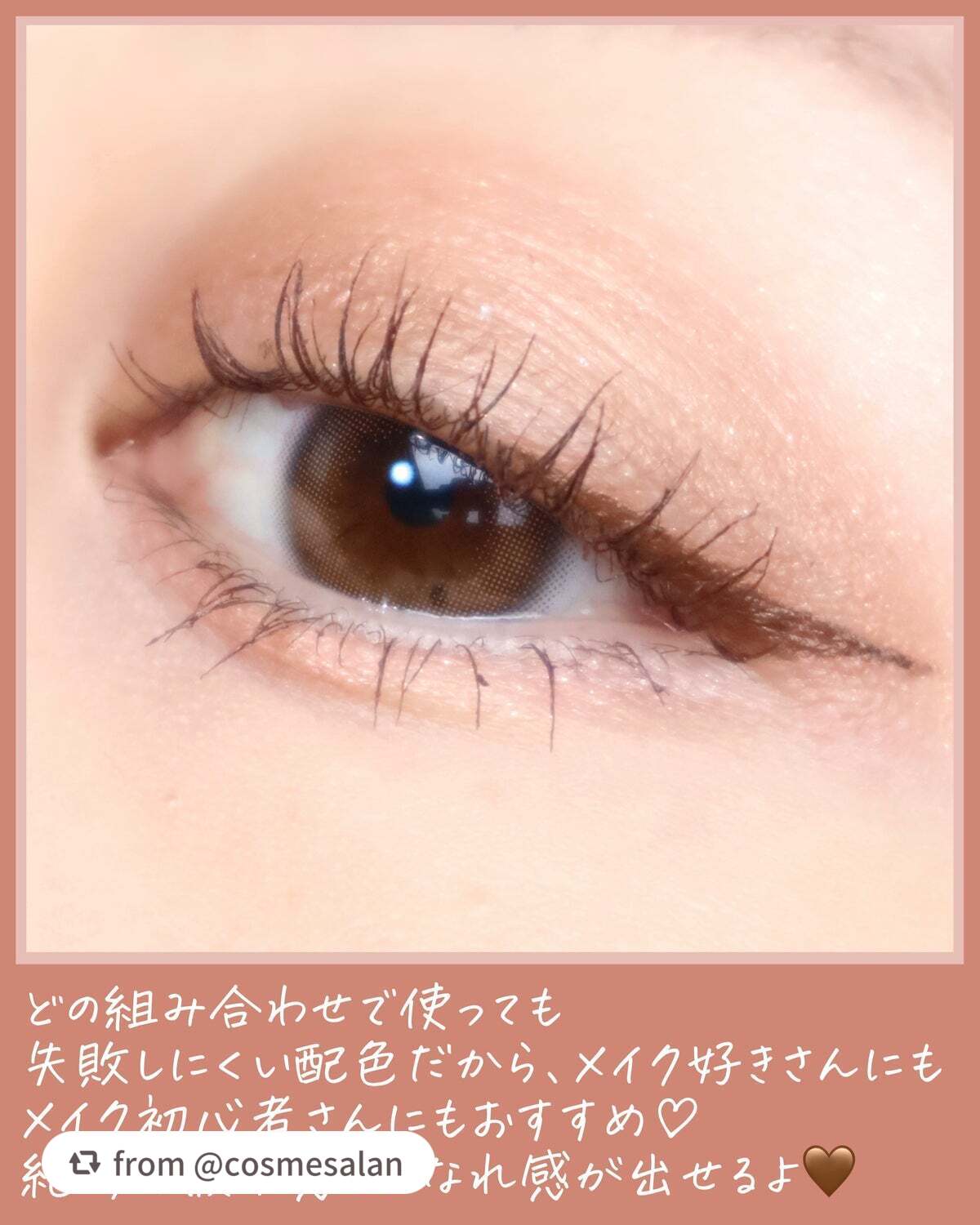 プティパレットアイズ/キャンメイク/パウダーアイシャドウを使ったクチコミ(6枚目)