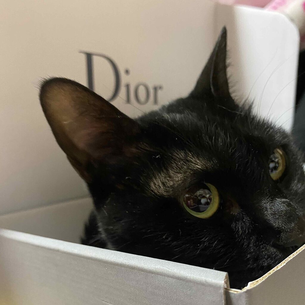 ゴディ on LIPS 「コロナウイルスご時世、化粧品を買いに行きたくても百貨店がしまっ..」(2枚目)