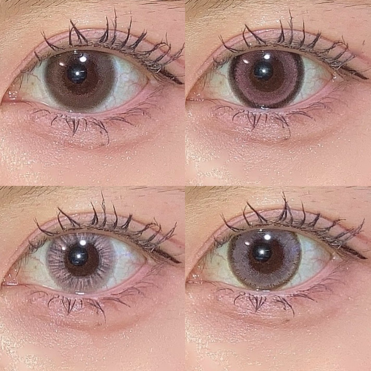 ReVIA 1day/ReVIA/ワンデー(1DAY)カラコンを使ったクチコミ(6枚目)