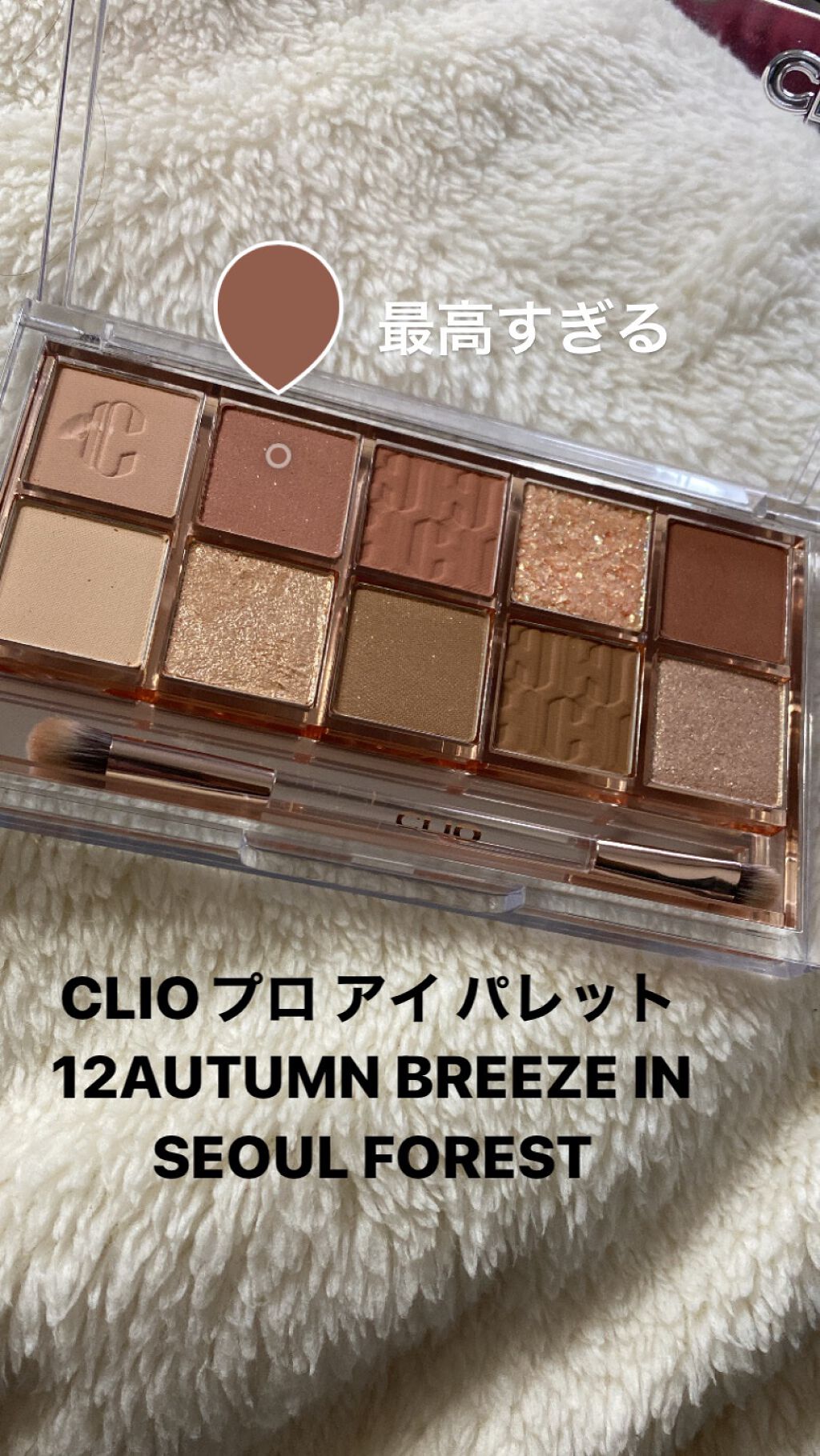 プロ アイ パレット/CLIO/アイシャドウパレットを使ったクチコミ（1枚目）