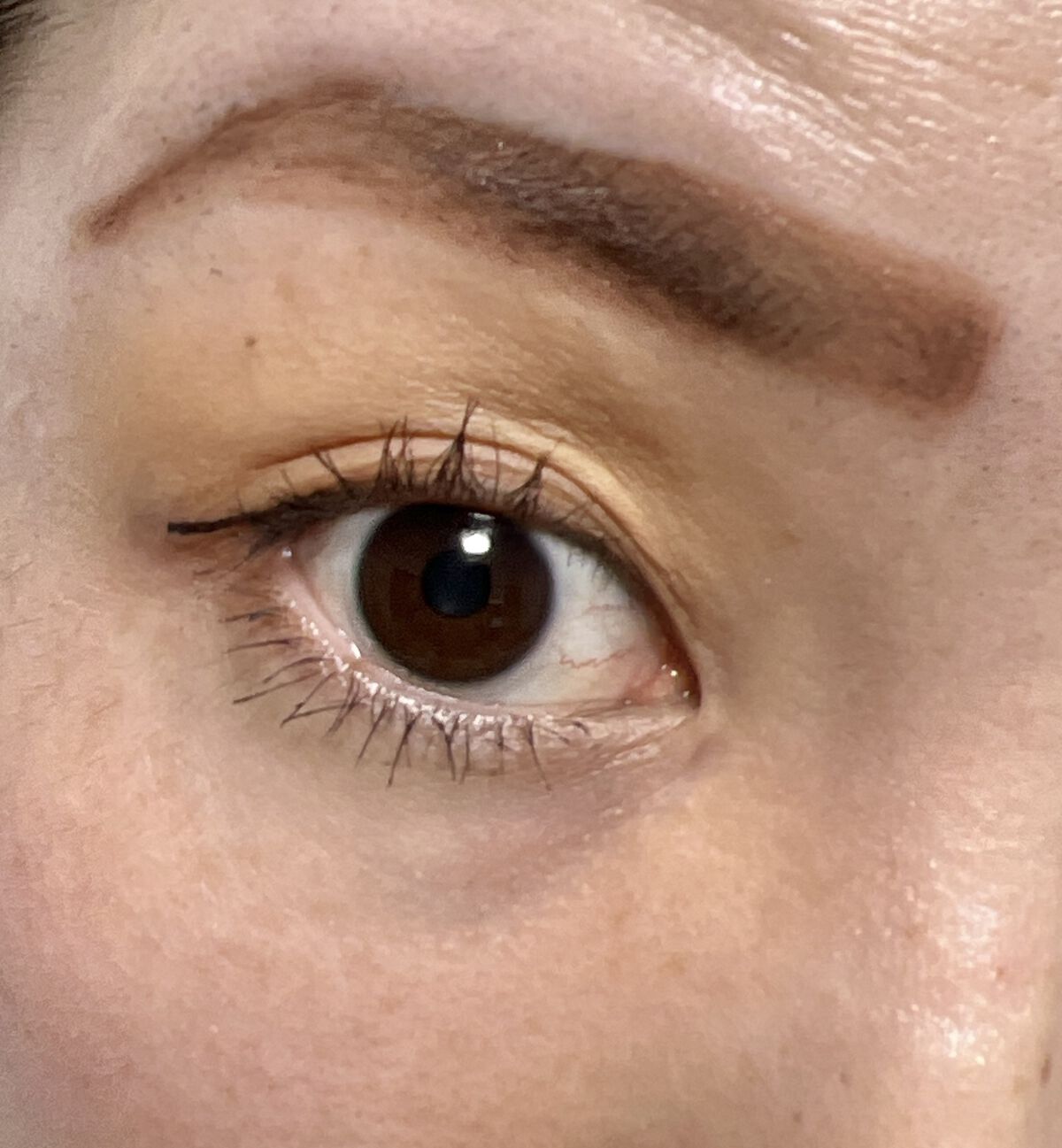 オールデイ ロング アンド カール マスカラ/Milk Touch/マスカラを使ったクチコミ（3枚目）
