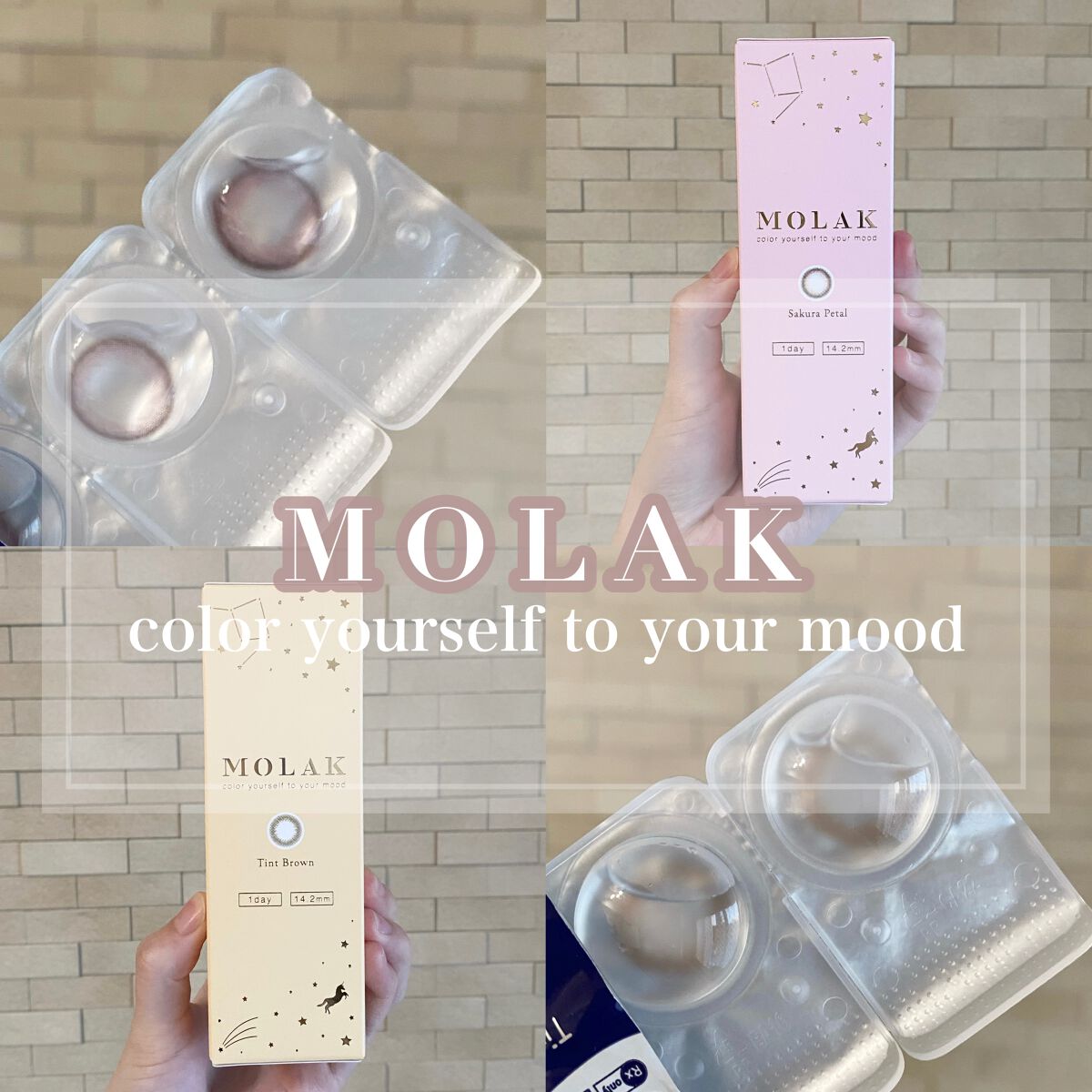 MOLAK 1day/MOLAK/ワンデー（１DAY）カラコンを使ったクチコミ（1枚目）