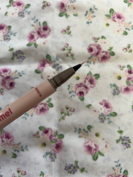 ピメル パーフェクトアイバッグペンシル/pdc/リキッドアイライナーを使ったクチコミ(4枚目)