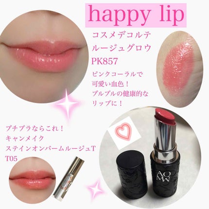 AQ MW ルージュ グロウ/DECORTÉ/口紅を使ったクチコミ(4枚目)