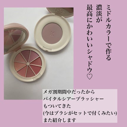 ミドルトーンアイシャドウコレクターパレット/Laka/アイシャドウパレットを使ったクチコミ(8枚目)