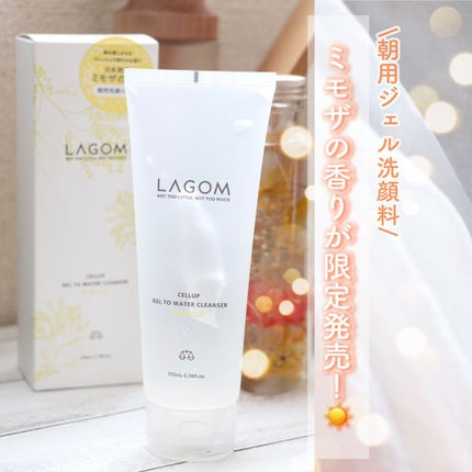 ジェルトゥウォーター クレンザー (MI)/LAGOM /その他洗顔料を使ったクチコミ(1枚目)