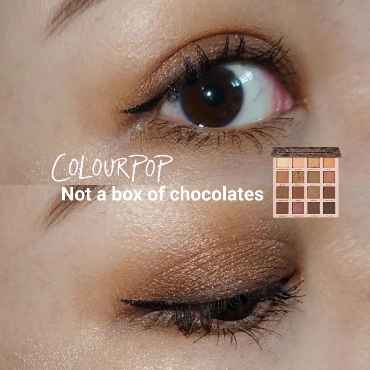 Not a box of chocolates/ColourPop/アイシャドウパレットを使ったクチコミ（1枚目）