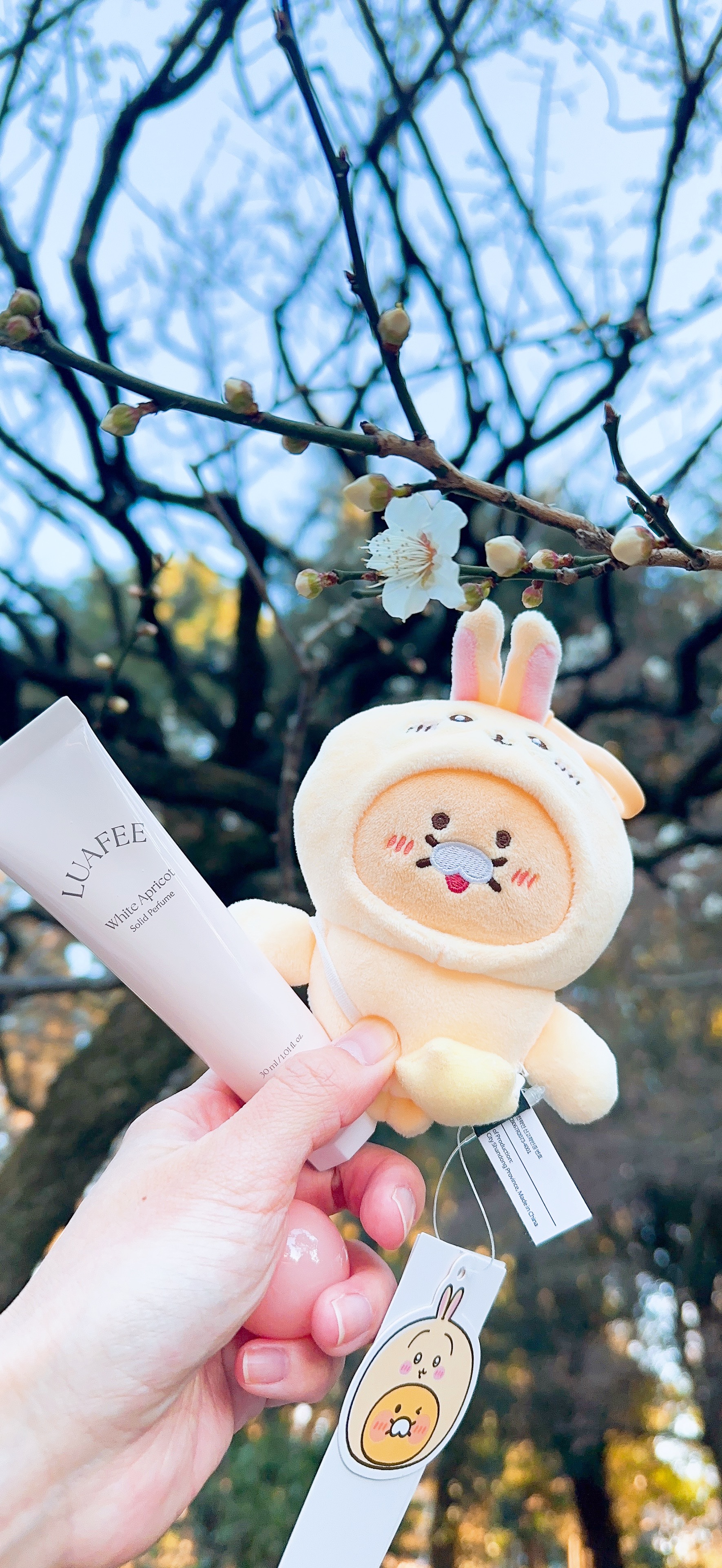 ソリッド パフューム ホワイトアプリコット/LUAFEE/練り香水を使ったクチコミ（3枚目）