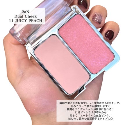 デュアルチーク/2aN/パウダーチークを使ったクチコミ(2枚目)