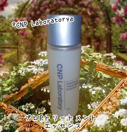 プロポリストリートメントアンプルエッセンス/CNP Laboratory/美容液を使ったクチコミ(1枚目)