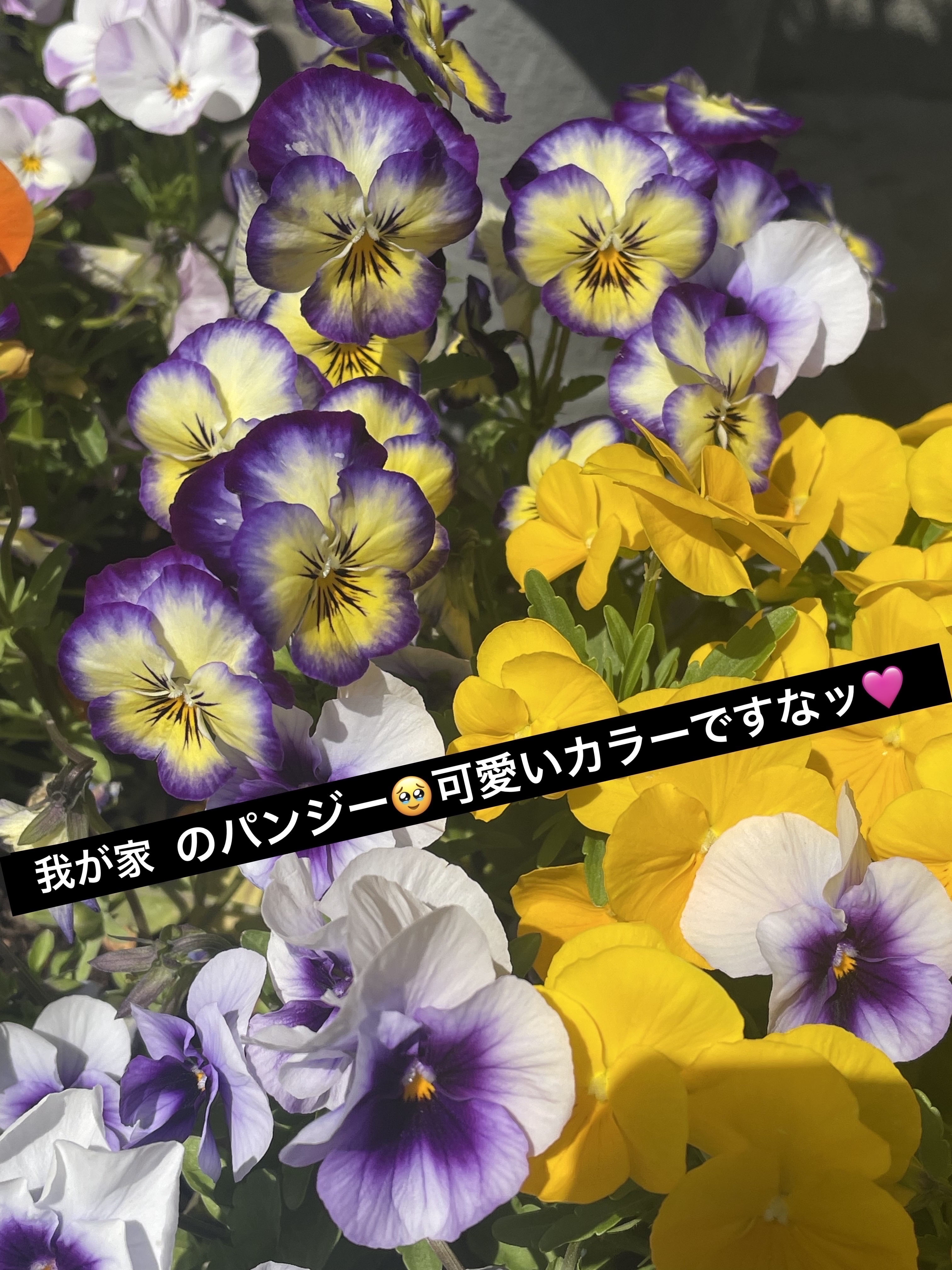 ジューシーラスティングティント/rom&nd/リップティントを使ったクチコミ（2枚目）