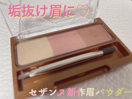 ノーズ&アイブロウパウダー/CEZANNE/パウダーアイブロウを使ったクチコミ(1枚目)