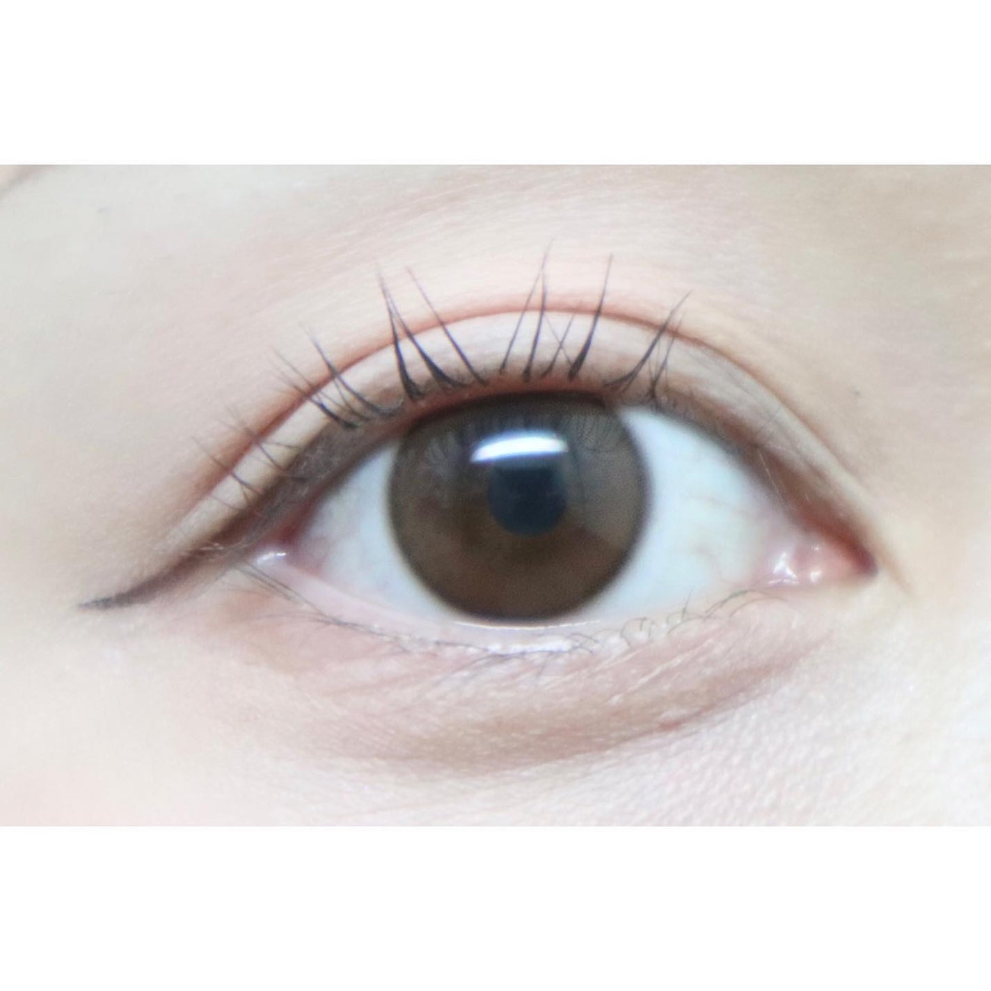 ShineTouch 1day/OLENS/ワンデー(1DAY)カラコンを使ったクチコミ(3枚目)