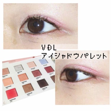 Expert Color Eye Book 6.4 /VDL/パウダーアイシャドウを使ったクチコミ（1枚目）