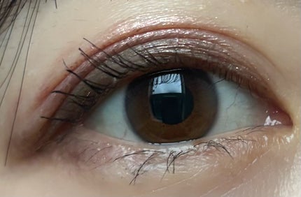 ニューデップスアイシャドウパレット/hince/アイシャドウパレットを使ったクチコミ(2枚目)