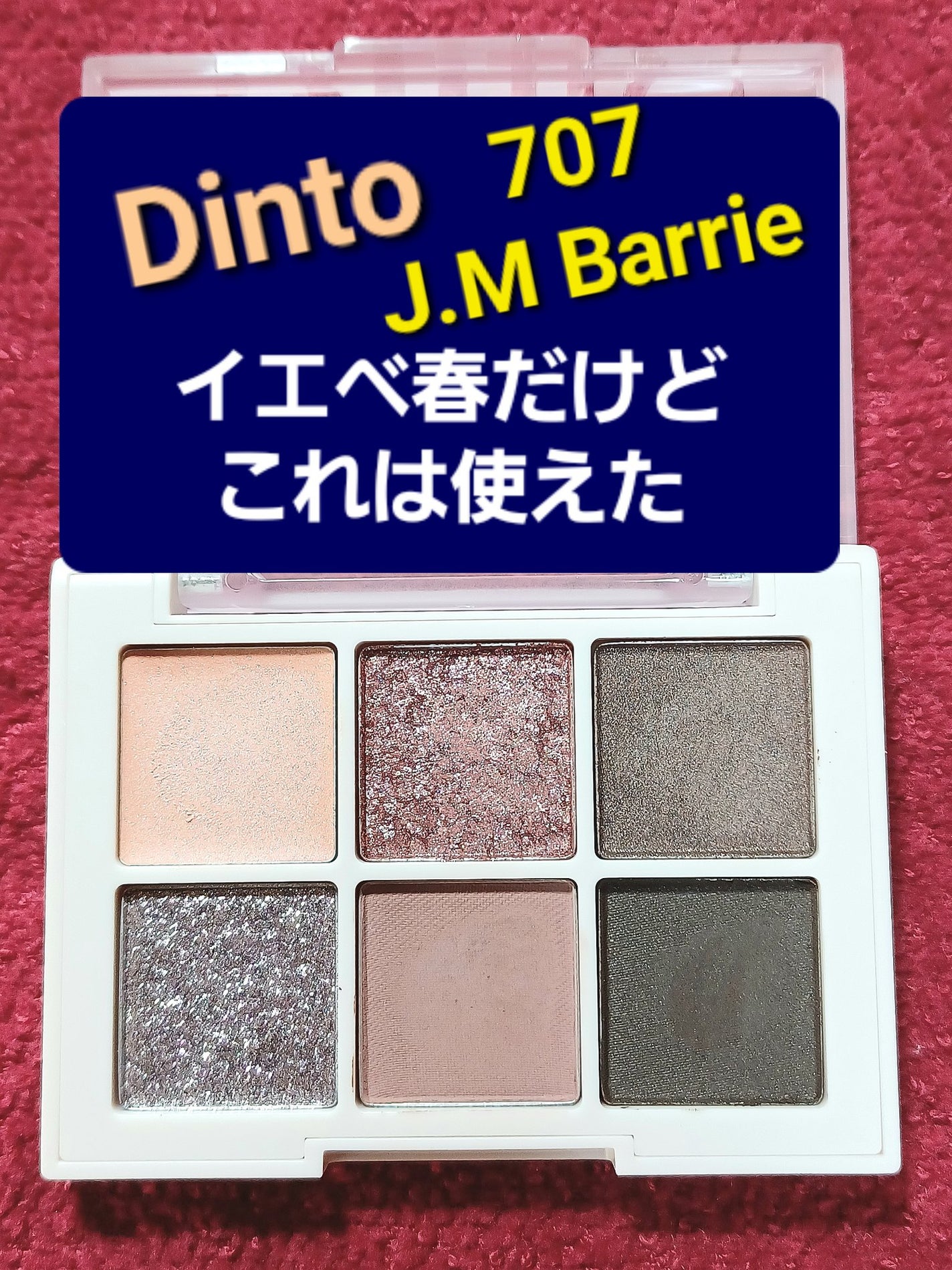 ブラーフィニシュシャドウパレット/Dinto/アイシャドウパレットを使ったクチコミ(1枚目)