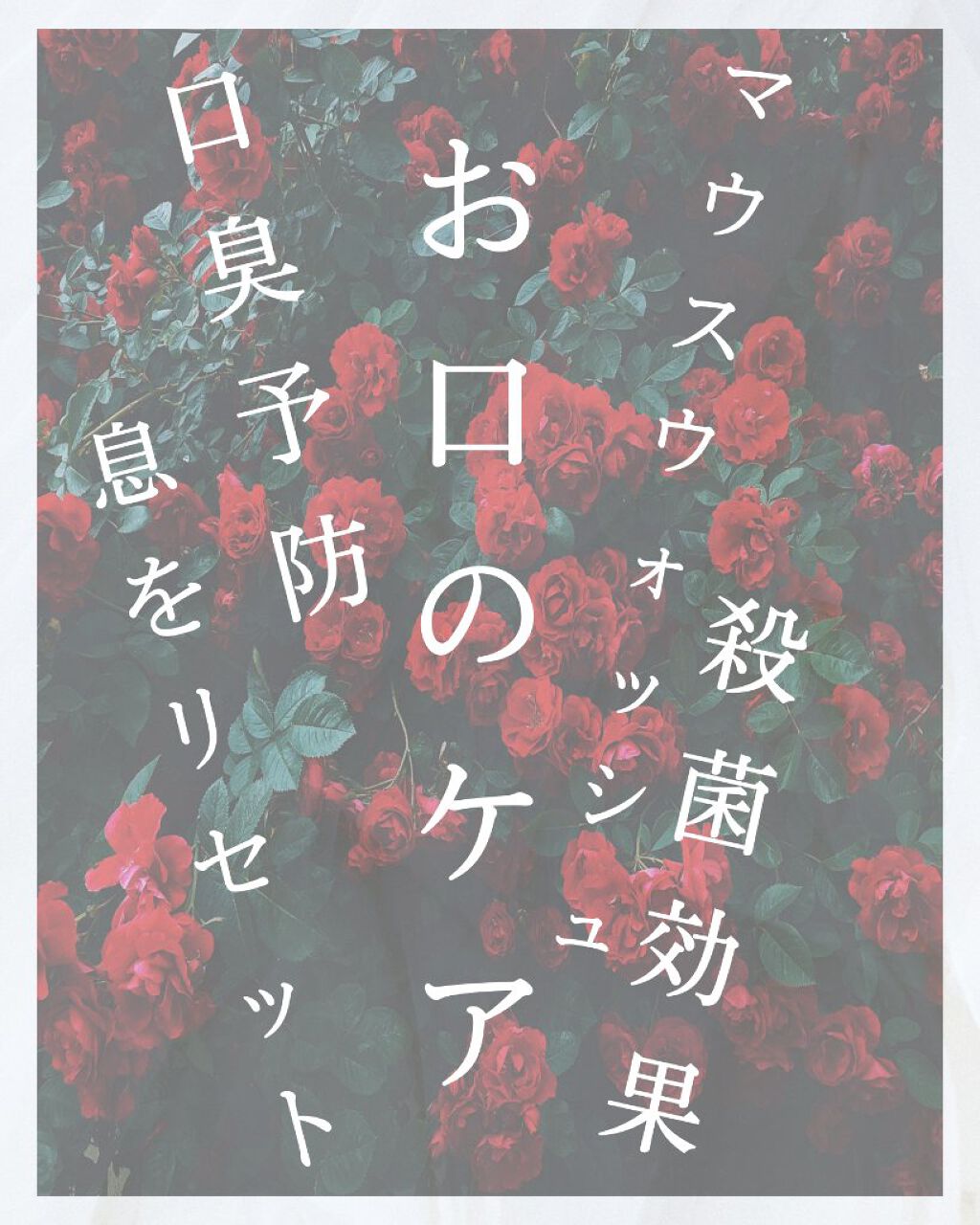 薬用リステリン トータルケア プラス/リステリン/マウスウォッシュ・スプレーを使ったクチコミ(1枚目)