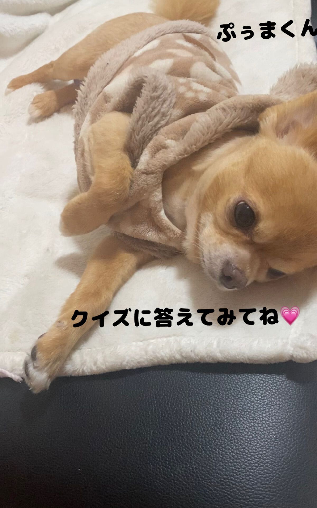 【旧】ディオール アディクト リップ マキシマイザー/Dior/リップグロスを使ったクチコミ（3枚目）