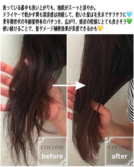 クレイクリームシャンプー(モイスト)/cocone/市販シャンプーを使ったクチコミ(3枚目)