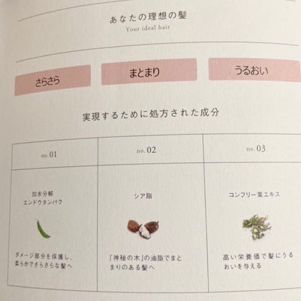 SHAMPOO & REPAIR/MEDULLA/市販シャンプーを使ったクチコミ(6枚目)