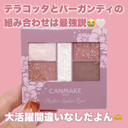 パーフェクトスタイリストアイズ/キャンメイク/アイシャドウパレットを使ったクチコミ(9枚目)