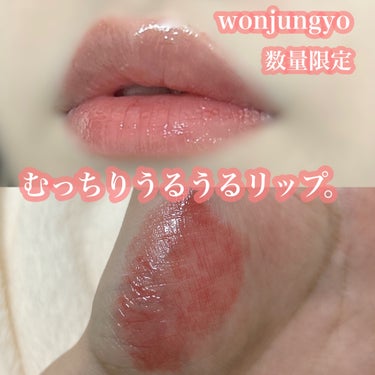 ウォンジョンヨ フォンダンリップ 02 メルティングフィグ/Wonjungyo/口紅を使ったクチコミ（1枚目）
